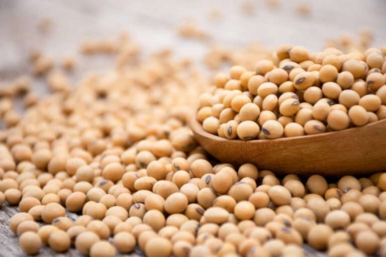 Soja ganha força no mercado e produtores aceleram vendas da safra 2026/27